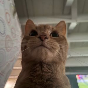 Meet your Posher, Jack